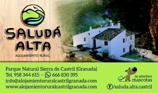 Salud� Alta