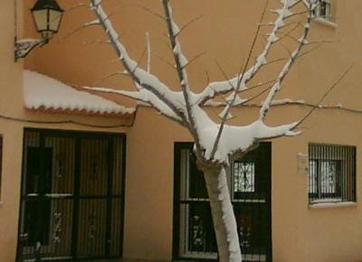 Hotel Rural Casani