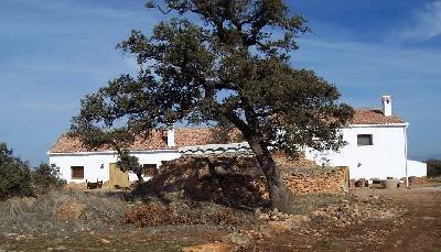 Cortijo Bacares II
