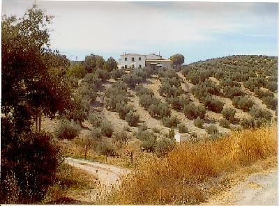Cortijo De Carboneros