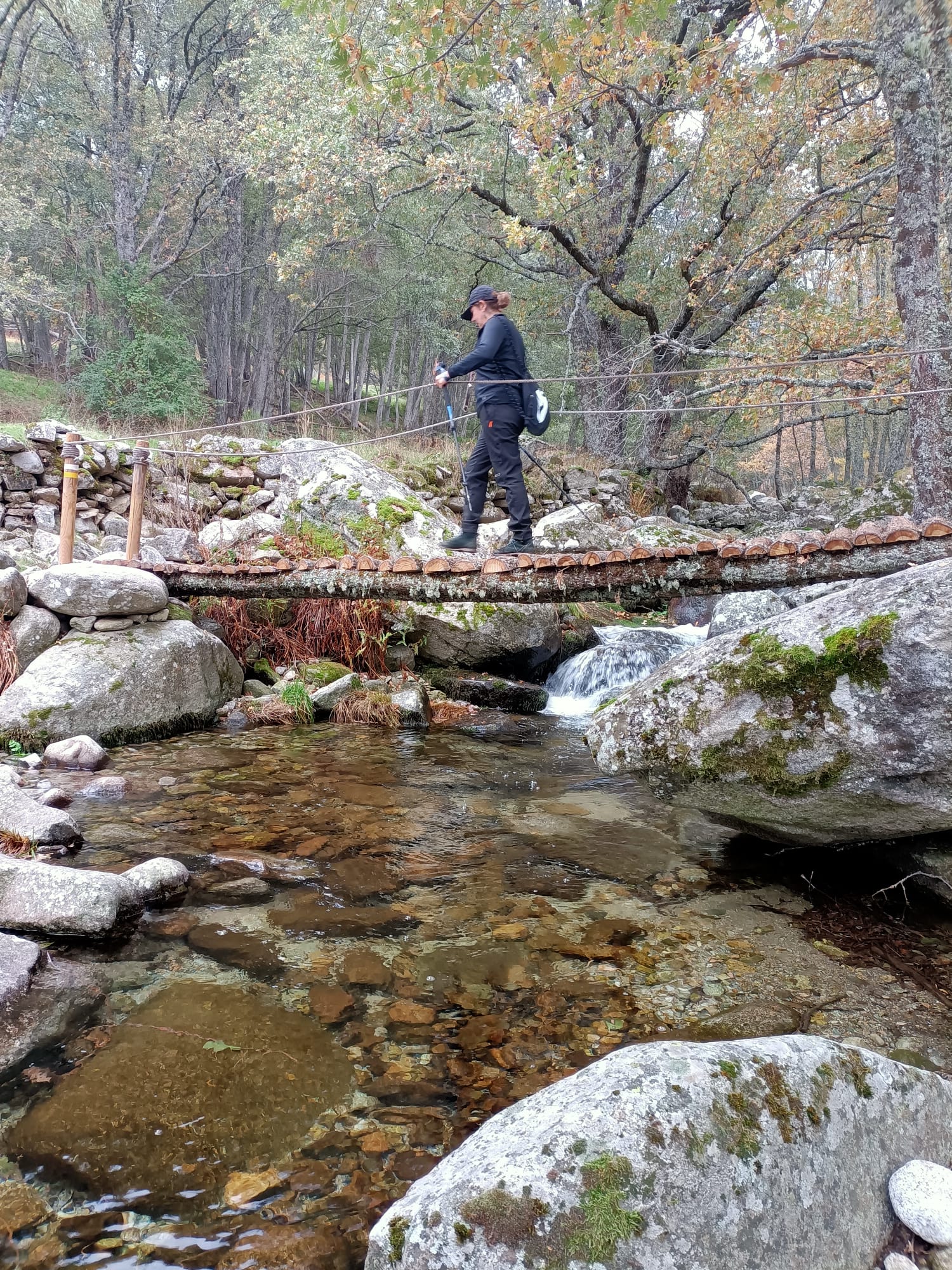 Propietario de Casa Rural El Rincón De Gredos