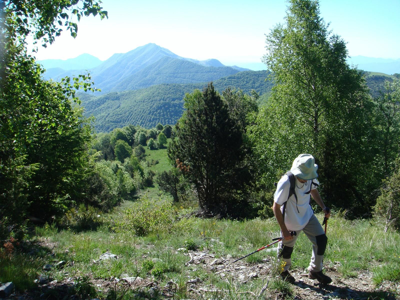Castell de Rocabruna
