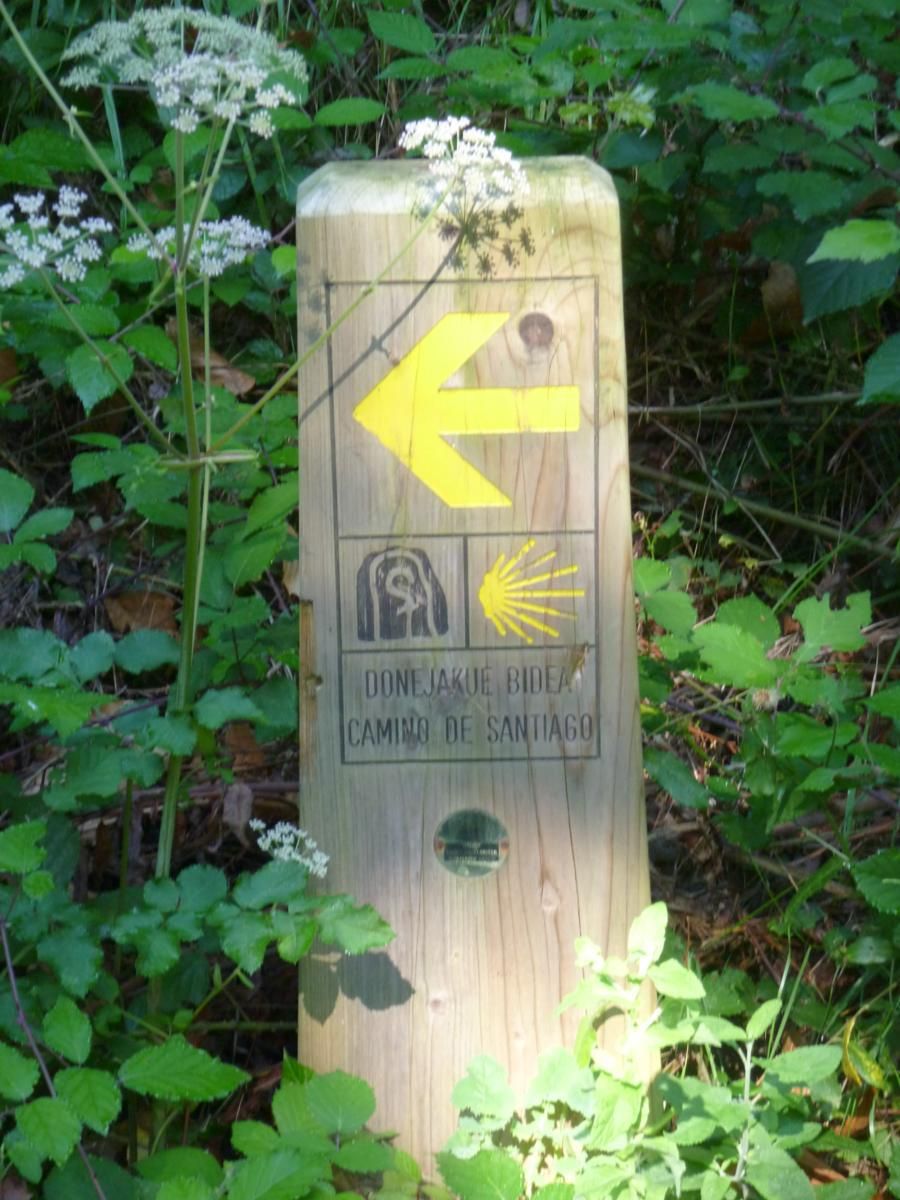 Parque Natural de Aizkorri y Camino de Santiago