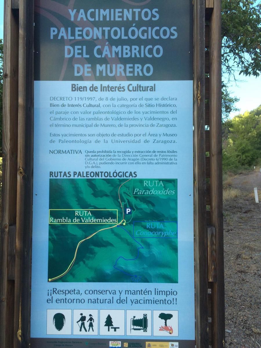 Murero, un paseo por el Cámbrico