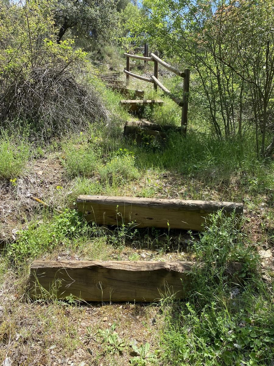 Murero, un paseo por el Cámbrico