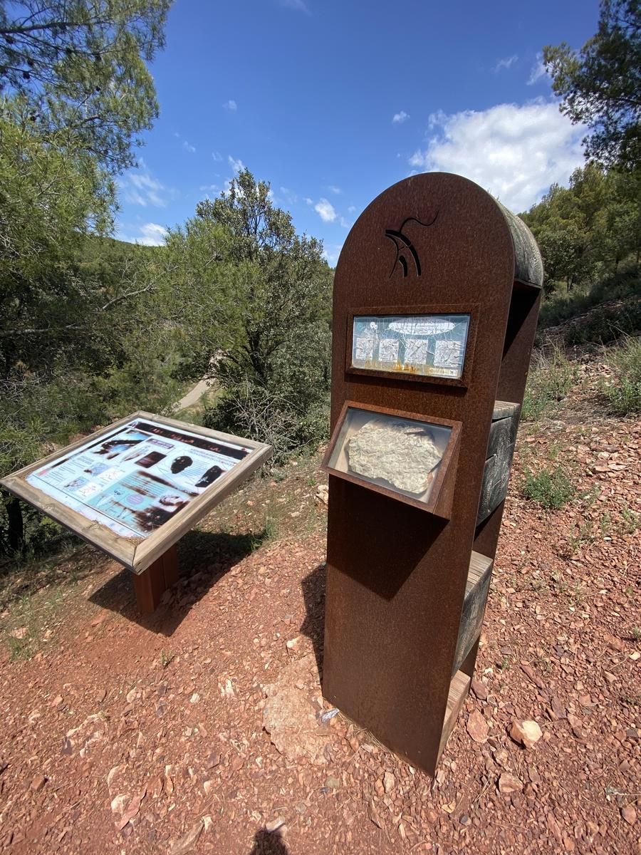 Murero, un paseo por el Cámbrico