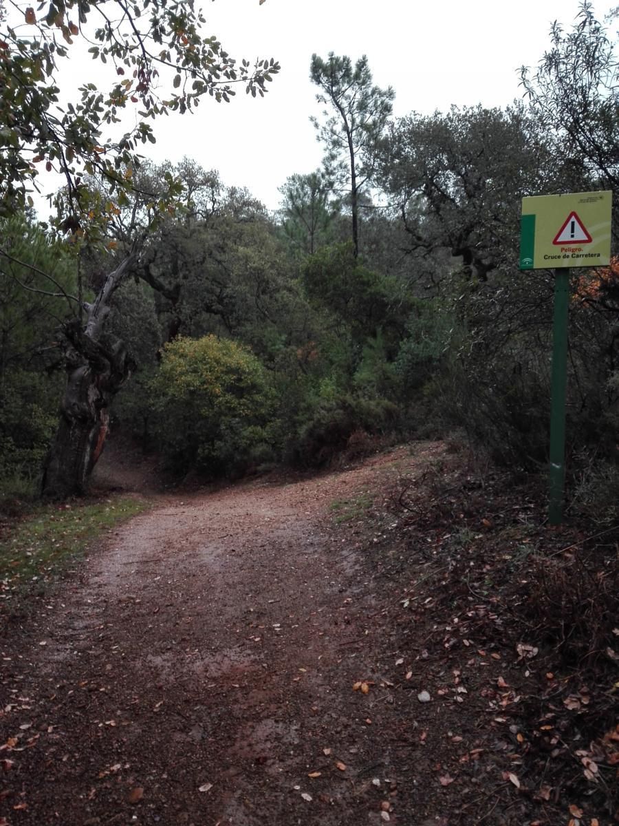 Alájar - Linares De La Sierra