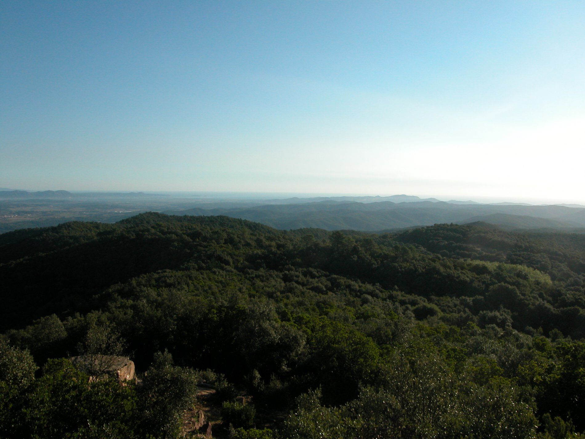Las Gavarres de interés natural