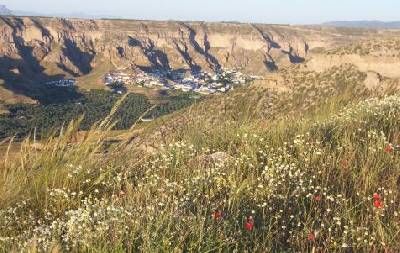 De Górafe a Bácor Olivar