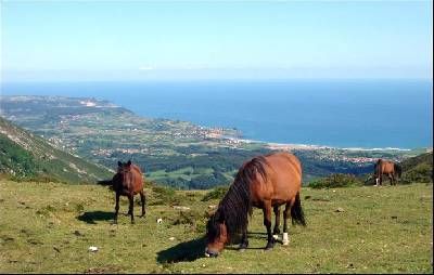 Ruta del Pico Pienzu, Sierra del Sueve