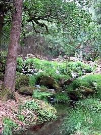 Ruta a los Molinos do Folon