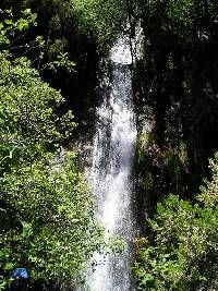 Fuentes Medicinales de Noceda