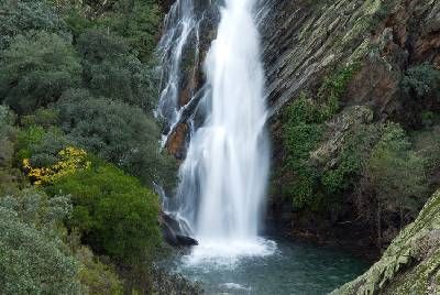 Chorrito de Ovejuela