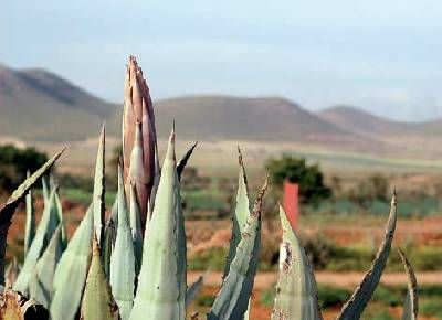 Parque Natural Cabo de Gata-Níjar