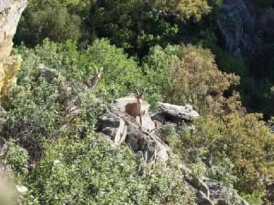 Parque Natural de las Batuecas