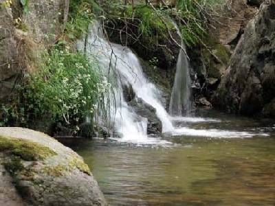 Del Monasterio del Paular a las Cascadas del Purgatorio