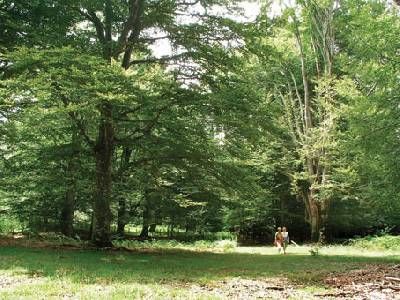 Ruta de las Fuentes Parque Natural Urbasa