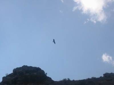 Parque Natural de las Arribes del Duero