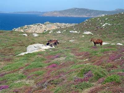 Ruta de Playa de Nemiña a Cabo Touriñán