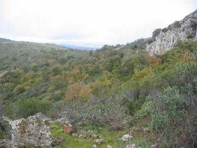 Vereda de Peña Aguila