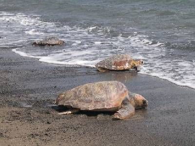 Parque Natural Cabo de Gata-Níjar