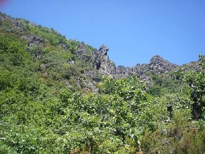 Fuentes Medicinales de Noceda