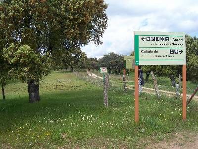 Sendero Venta del Charco - El Cerezo