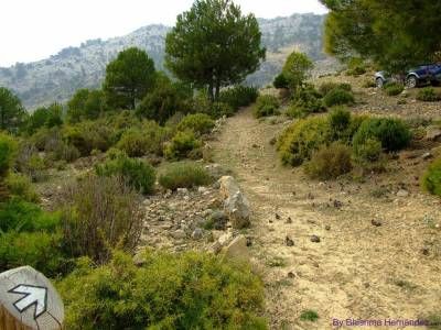 Sendero Cerro del Buitre