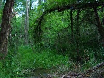Barranco Paradisiaco de Gabasa