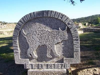 Sendero Venta del Charco - El Cerezo
