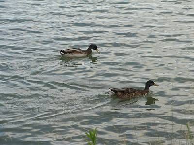 Paraje Natural Cola del Embalse de Arcos