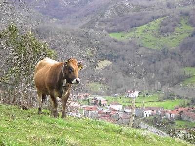 Nordic Walking - Marcha Nórdica por el Concejo de Onís 