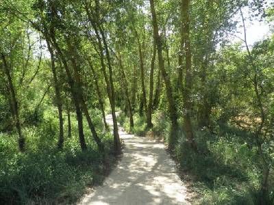 Senda del Rio Duero