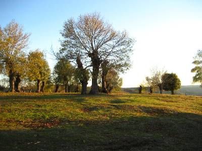 Ermita de la Virgen del Castillo