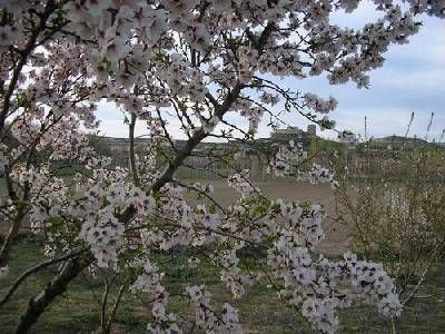 Sendero De Las Riberas Del Riaza