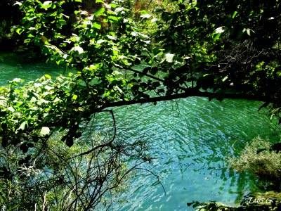 Ojos del Cabriel y Molino San Pedro