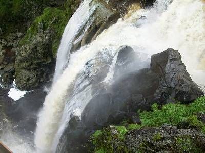 Ruta TRINO: Pueblos y Escarpes (Ruta Ornitológica)