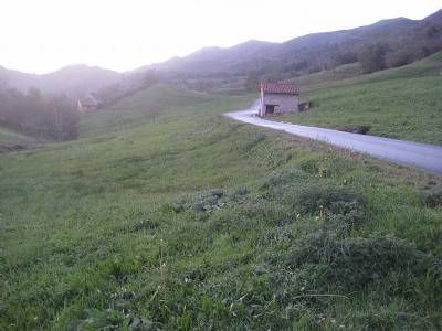 Nordic Walking - Marcha Nórdica por el Concejo de Onís 