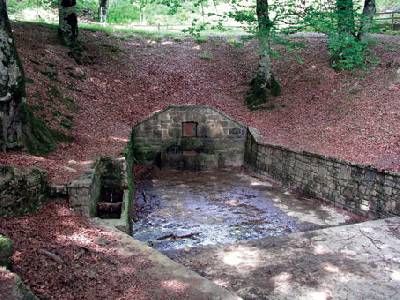 Ruta de las Fuentes Parque Natural Urbasa