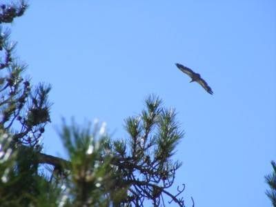 Sendero Cerro del Buitre