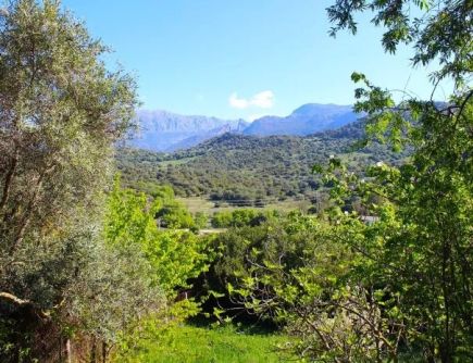 Vivienda Rural El Alamar