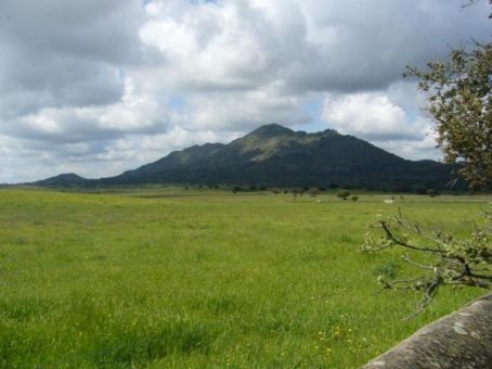 Ascenso al Pico de San Gregorio (Santa Cruz)