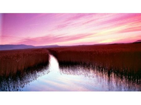 La Laguna de Pitillas