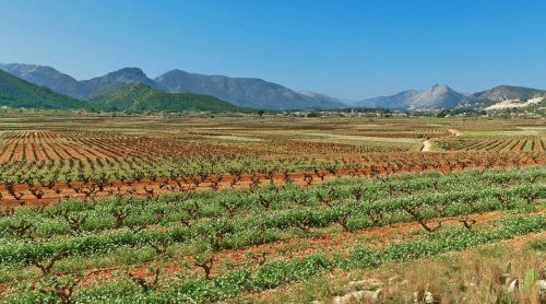 Travesia por La Vall de Pop