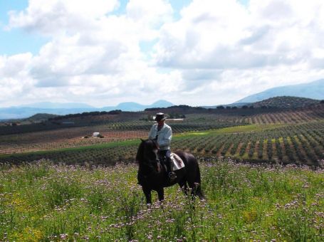Salinas - Pantano de Iznájar