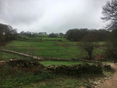 Camino de Santiago (Sarria-Portomarin)