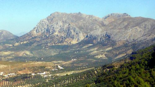 Sierra Tiñosa entre Rute - Priego de Córdoba 