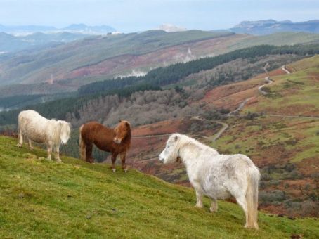 Por Los Montes De Artzentales