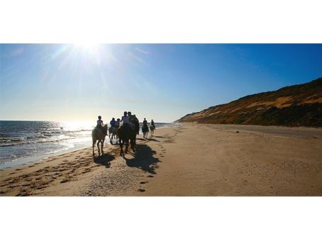 Parque Natural De Doñana a caballo