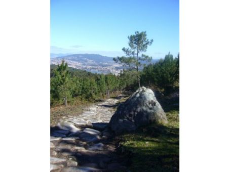 Ruta Dos Petroglifos